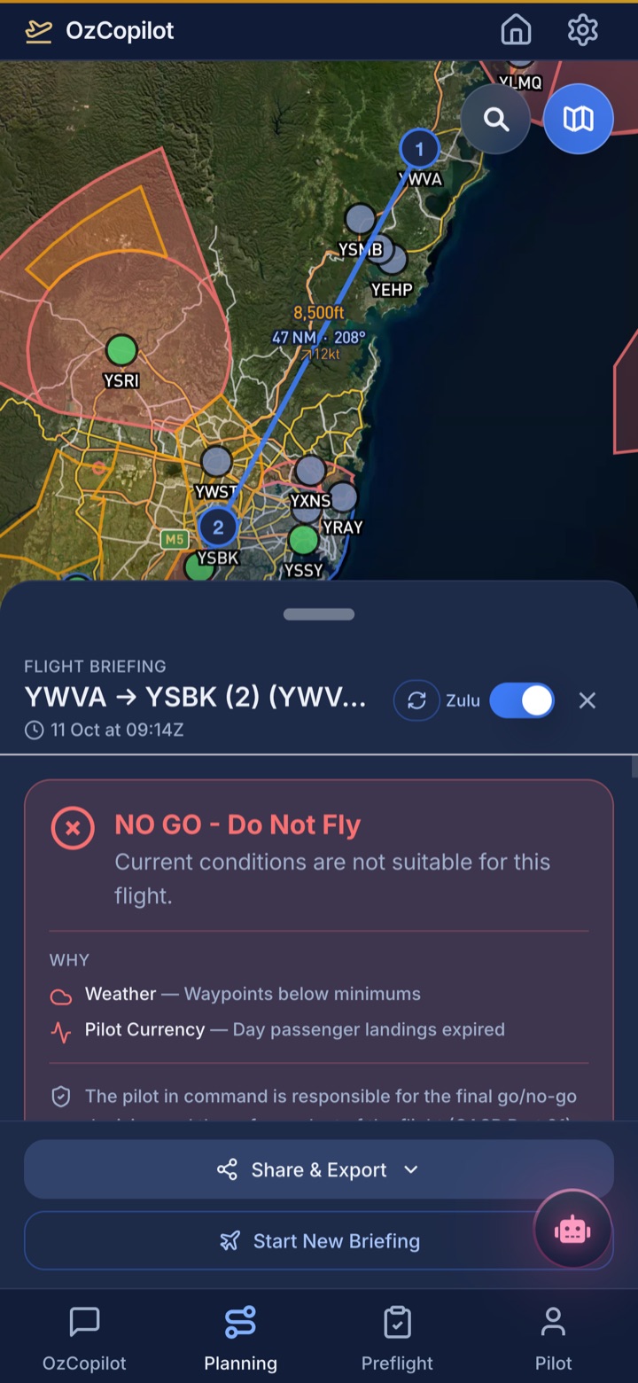 Flight briefing with route on the map and a NO GO do-not-fly verdict citing weather and currency